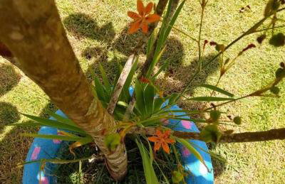 Casa de Campo Chácara Recanto da Águia - Foto 15