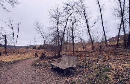 Blackjulie Ferienwohnung im Schwarzwald mit Balkon und Parkplatz ruhig - Foto 20