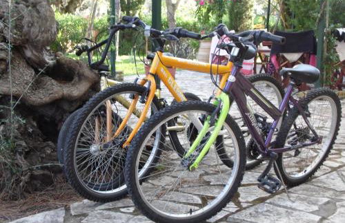 TheNi Olive Grove Villa - Foto 20