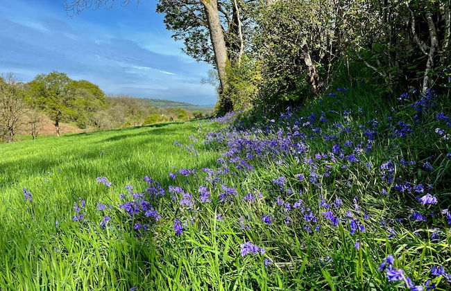 Cambrian Cottages - Foto 57