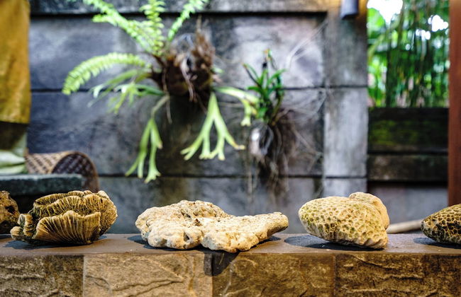 Pondok Carik Villa - Foto 40