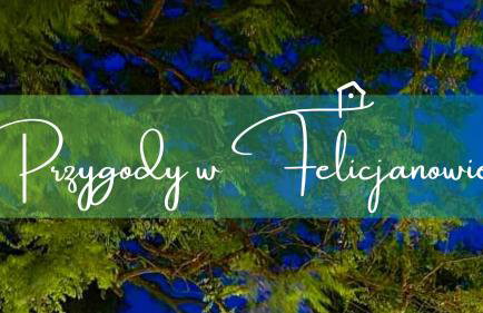 Gniazdo w Felicjanowie - Foto 12