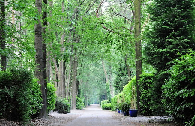 Villa in Parc de Kievit With Garden & Fireplace - Photo 37
