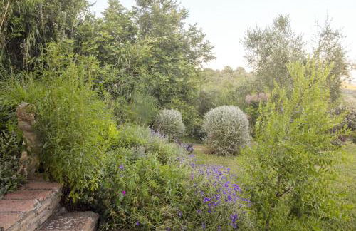 Sant'Anselmo - Foto 59