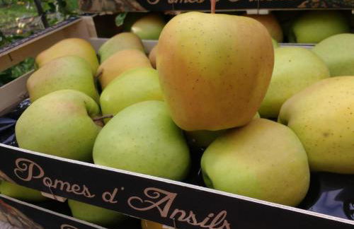 Borda Piñana - Photo 30