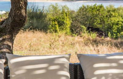 Lecci e Murta - Foto 54