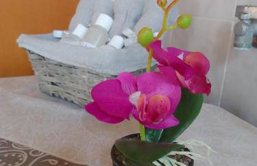 Studios ΣΤΟΥΣ ΠΥΡΓΟΥΣ ΘΕΡΜΗΣ - Foto 27