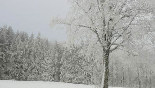 Haus Eugen - Photo 4