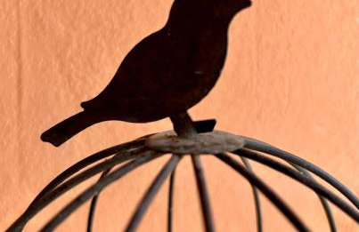 Traditional Corfiot House - Foto 15