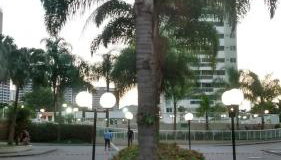 Barra Rio Centro - Foto 4, Garden, Garden view