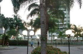 Barra Rio Centro - Foto 4