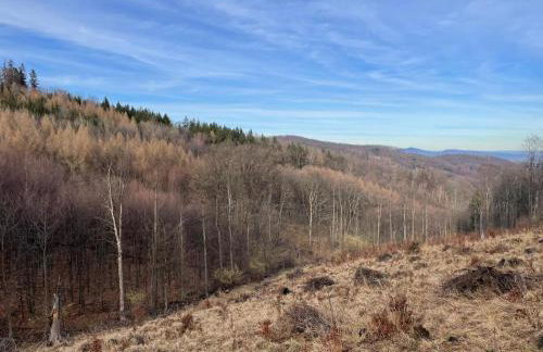 Apartament pod Wielką Sową z Sauną Infrared - Foto 20