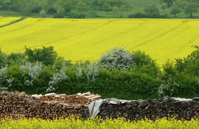 Holiday Apartment Old Town Hall - Foto 15