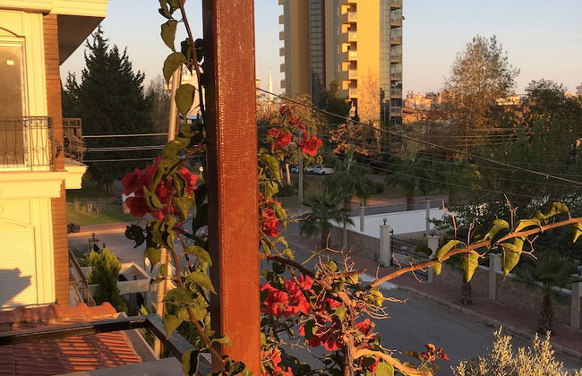 Orange Garden - Foto 47