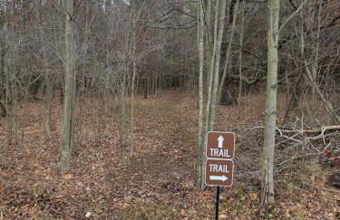 New Home with Game Room and Nature Trails in Port Huron - Photo 10