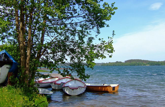 Trzy Brzozy - Foto 5