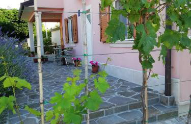 Apartmani Vesna - Foto 2