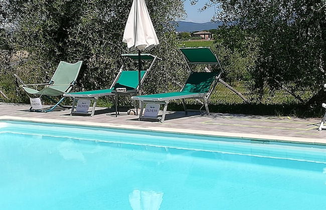 Bio Agriturismo La Spiga D'oro - Photo 13