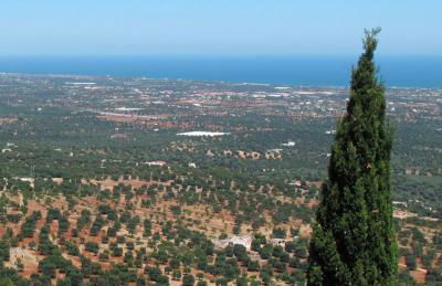 Calamedde Guest House nel Centro Storico Pugliese - Photo 40