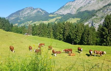 Appartement confortable à La Chapelle-d'Abondance 75 m² avec jardin - Foto 17
