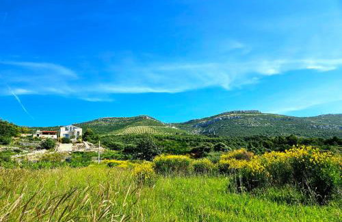 Villa Bepina, surrounded by sea, olive, vineyard - Photo 52