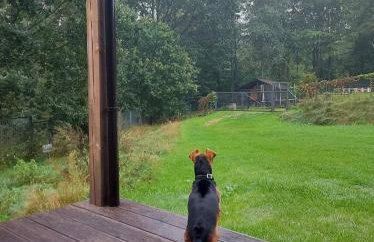 Calm House Krzynia - dom nad jeziorem do wynajęcia - Foto 60