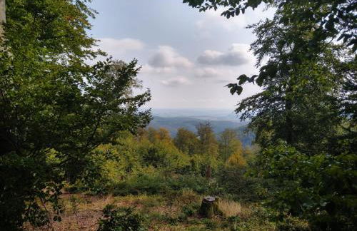 Villa Hinterland - Foto 29