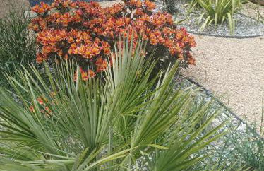 Cottage "Au ptit bonheur" - Foto 9