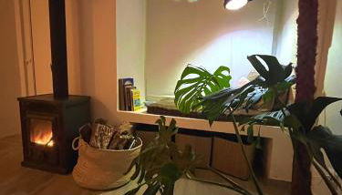 Sopas e Descanso - Foto 3