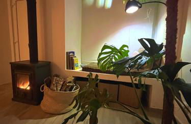 Sopas e Descanso - Foto 3