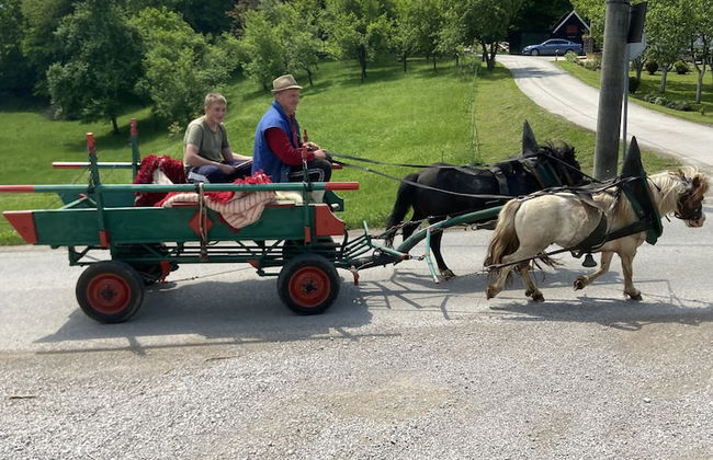 Villa Stone - Photo 30