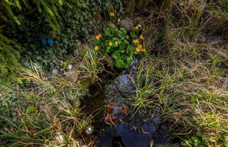 Schönes wohnen im Grünen - Foto 9