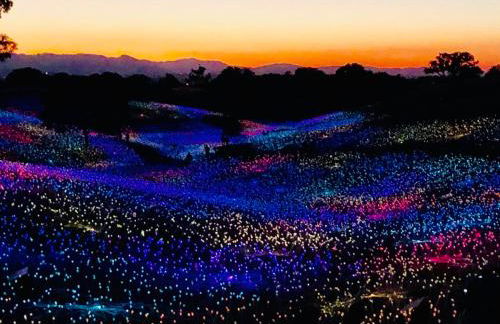 Oakwood Lodge - Foto 40