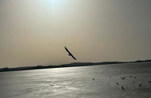 Appartement Seebadallee mit Wallbox für e-Autos - Foto 24