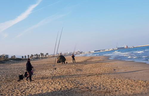 Exclusive Apartment - Playa de Marenys de Rafalcaid - Photo 45