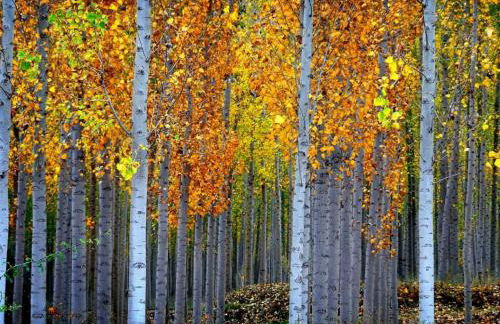 Cueva En El Geoparque de Granada - Foto 33