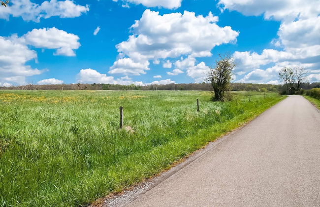 Holiday Home in Biron With Barrel Sauna - Photo 37