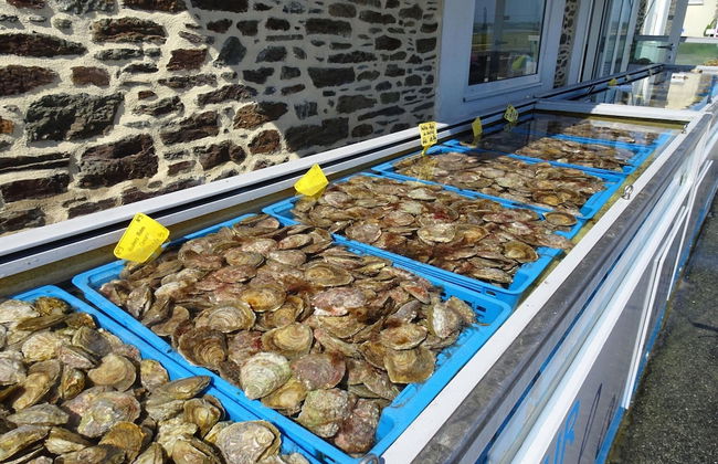 Charming Holiday Home, Near Mont St-michel - Foto 14