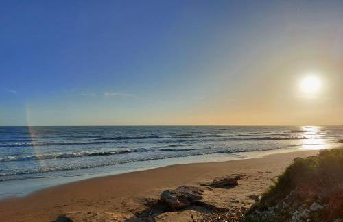 Little Holiday House - Foto 14