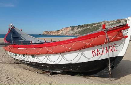 West coast dream Nazare - Foto 33