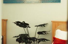 Cozy Miami Home Next to Wynwood & Design District - Foto 11