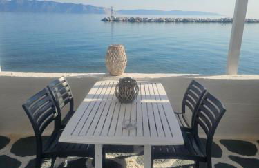 Asmini Studios - Foto 58