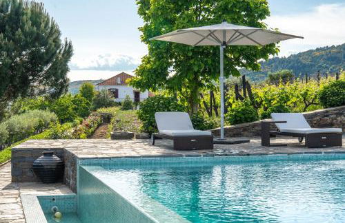 Casa do Vale - Retreat in the Douro Vineyards - Photo 42