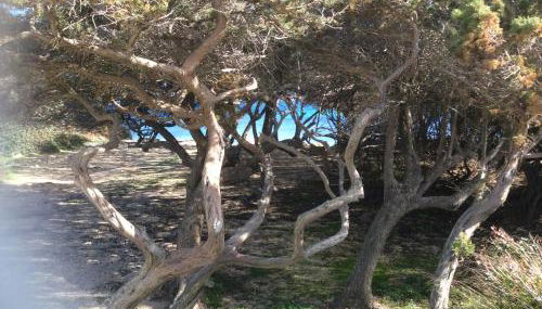 Casa Cristina Olbia costa smeralda - Photo 5