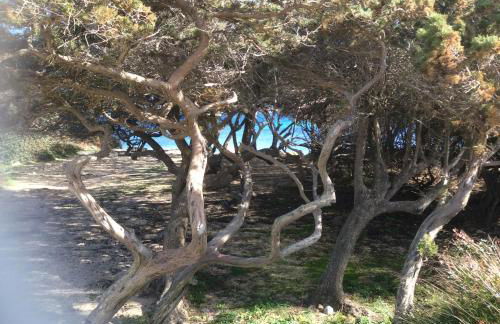 Casa Cristina Olbia costa smeralda - Photo 5