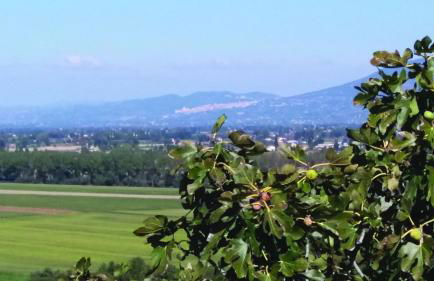 Tenuta Colverano - Foto 28