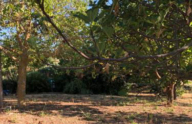 Villa Valentina - Foto 52