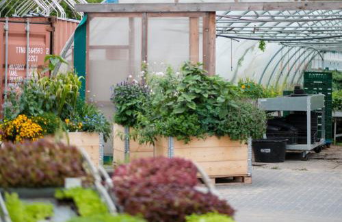 Biohof Medewege - Foto 30