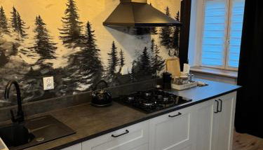 Apartament Chopina - Photo 2