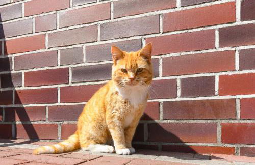 Ferienwohnung Waldblick auf dem Ferienhof Eschen - Foto 5